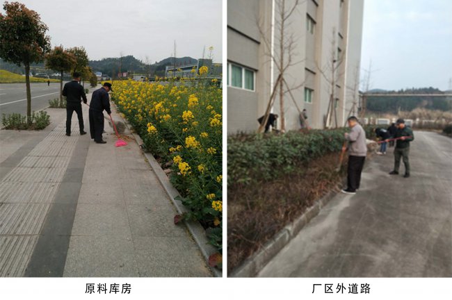 阆中子公司开展周末卫生大扫除活动